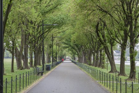 Het is mooi groen in de National Mall